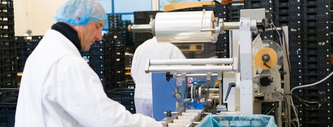 werken bij ZG Slicing werken bij ZG Slicing